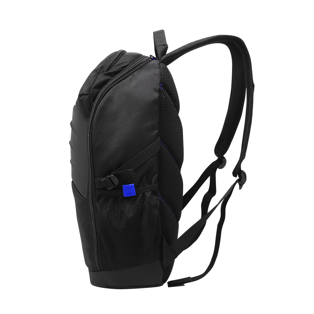 BPG300